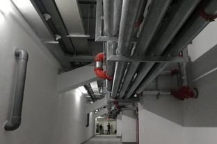 为科技创新点赞 公司成功举办机电安装与BIM精品工程现场观摩会，引领行业室内外装饰新高度